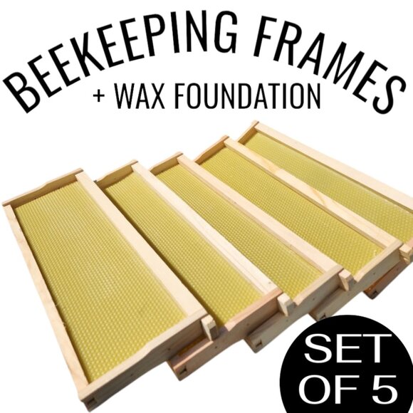 Beekeeping Equipment 5 Medium Frames + 5 Wax Foundation ASSEMBLED For Super Boxe - Picture 9 of 12